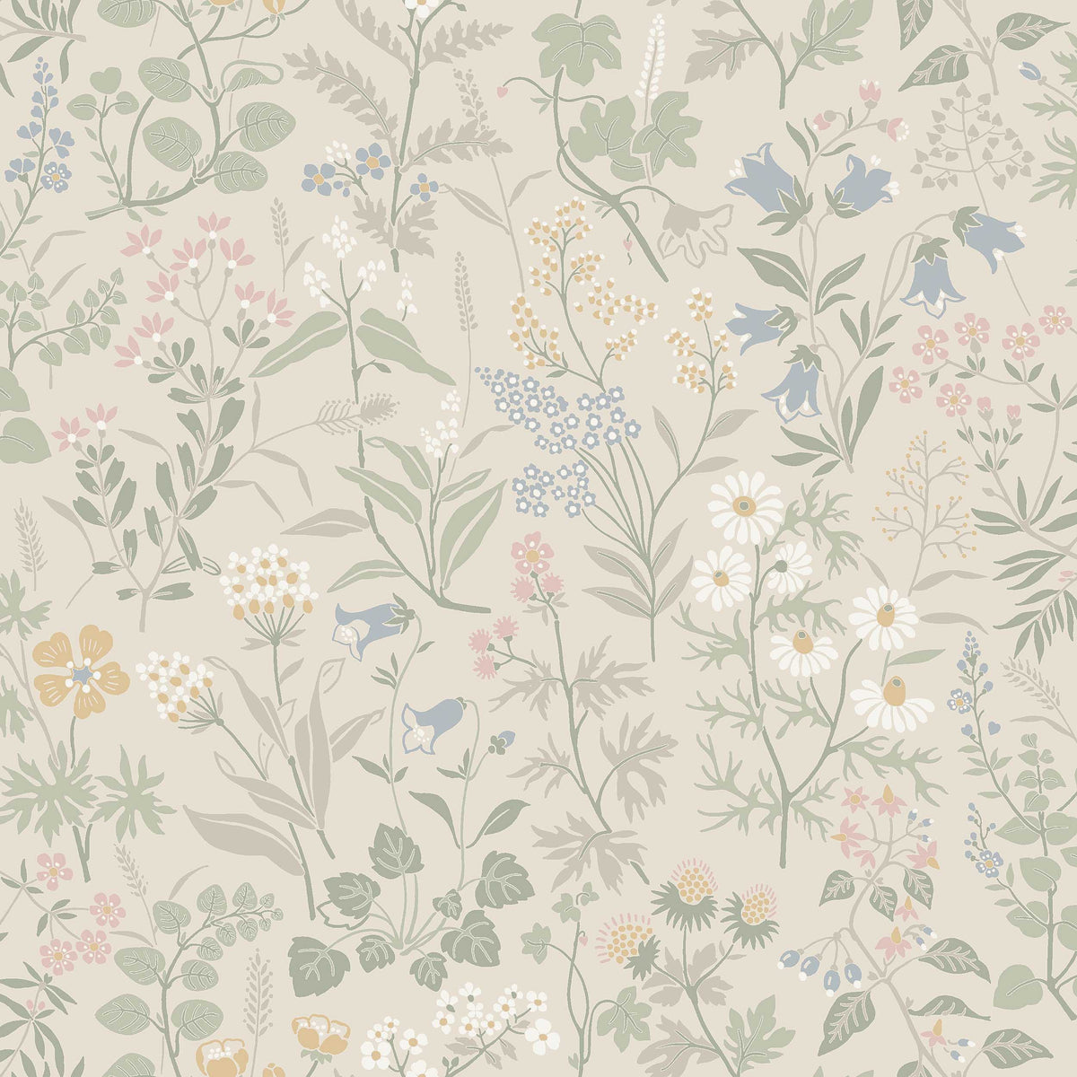 Flora - Closeup