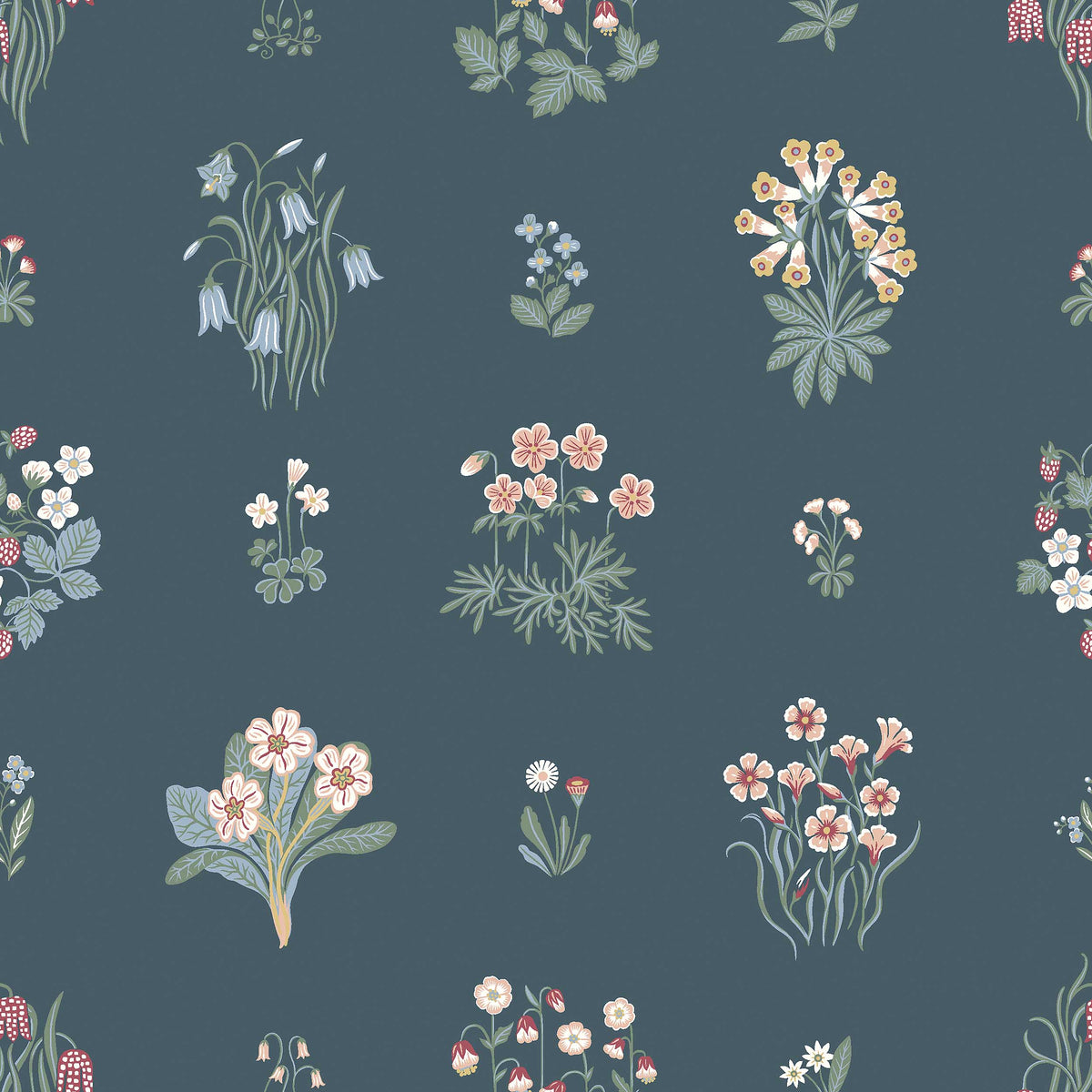 Ängsflora - Closeup