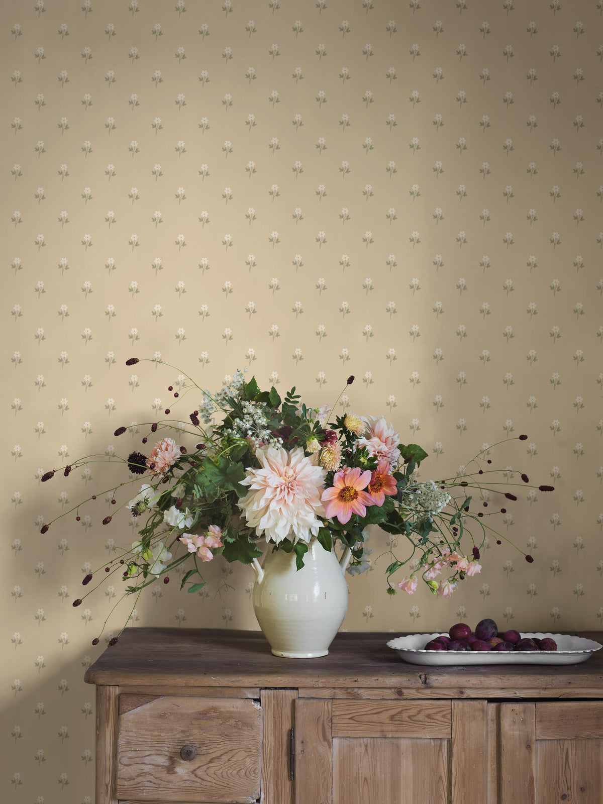 Anemone - Roomshot 1