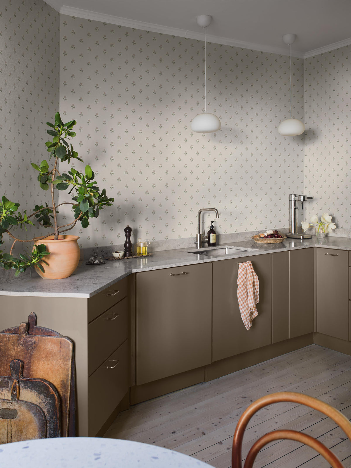 Anemone - Kitchen Roomshot