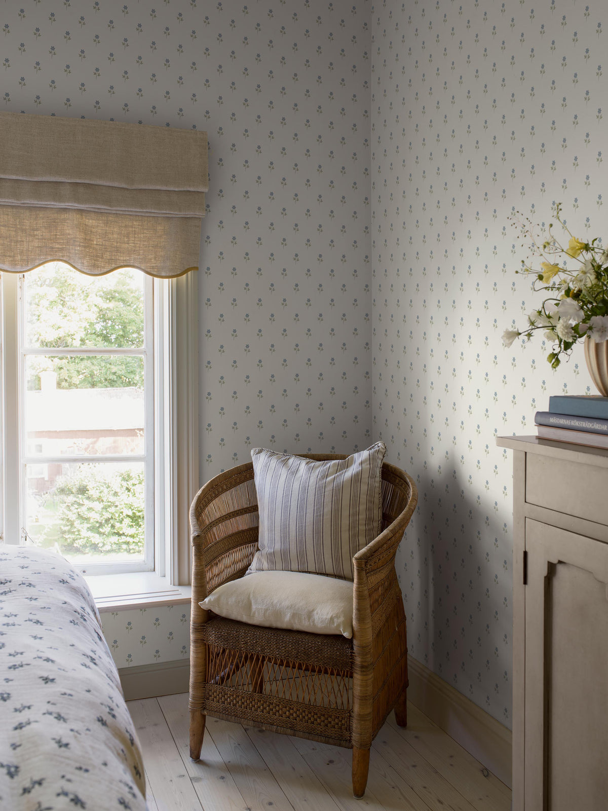 Anemone - Roomshot 2