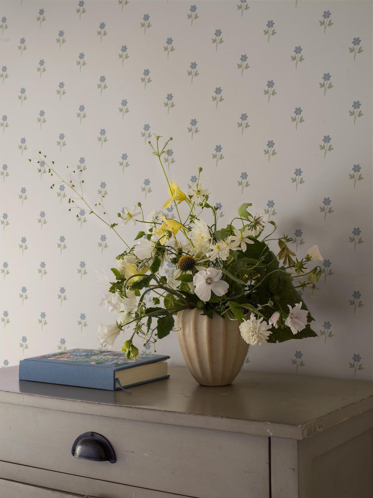 Anemone - Roomshot 3