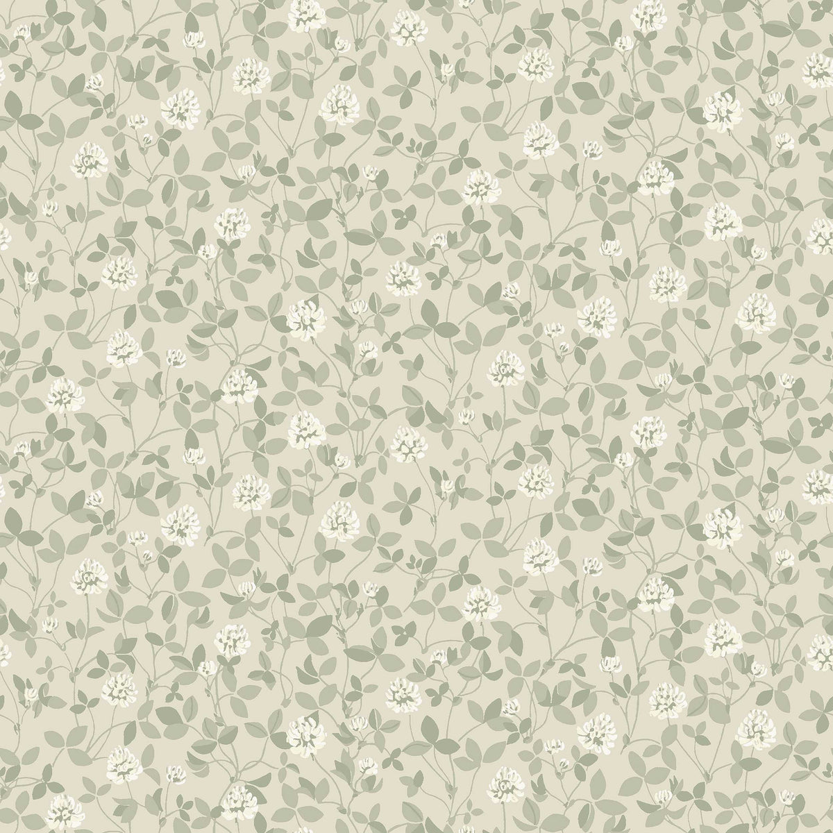 Klöver - Closeup