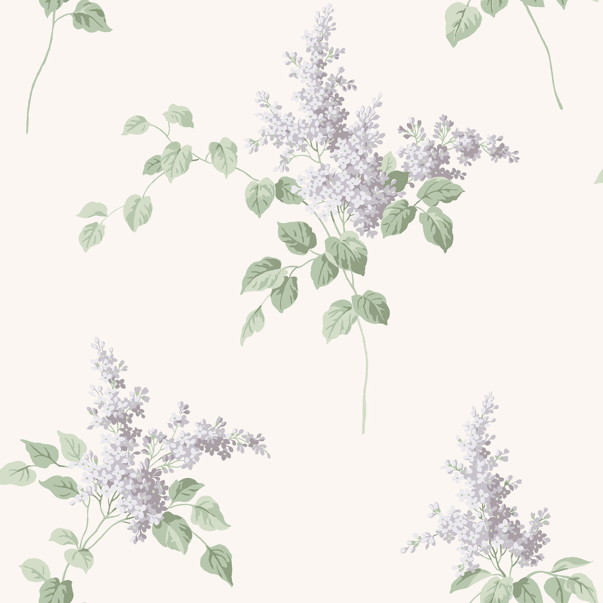Lilacs - Closeup