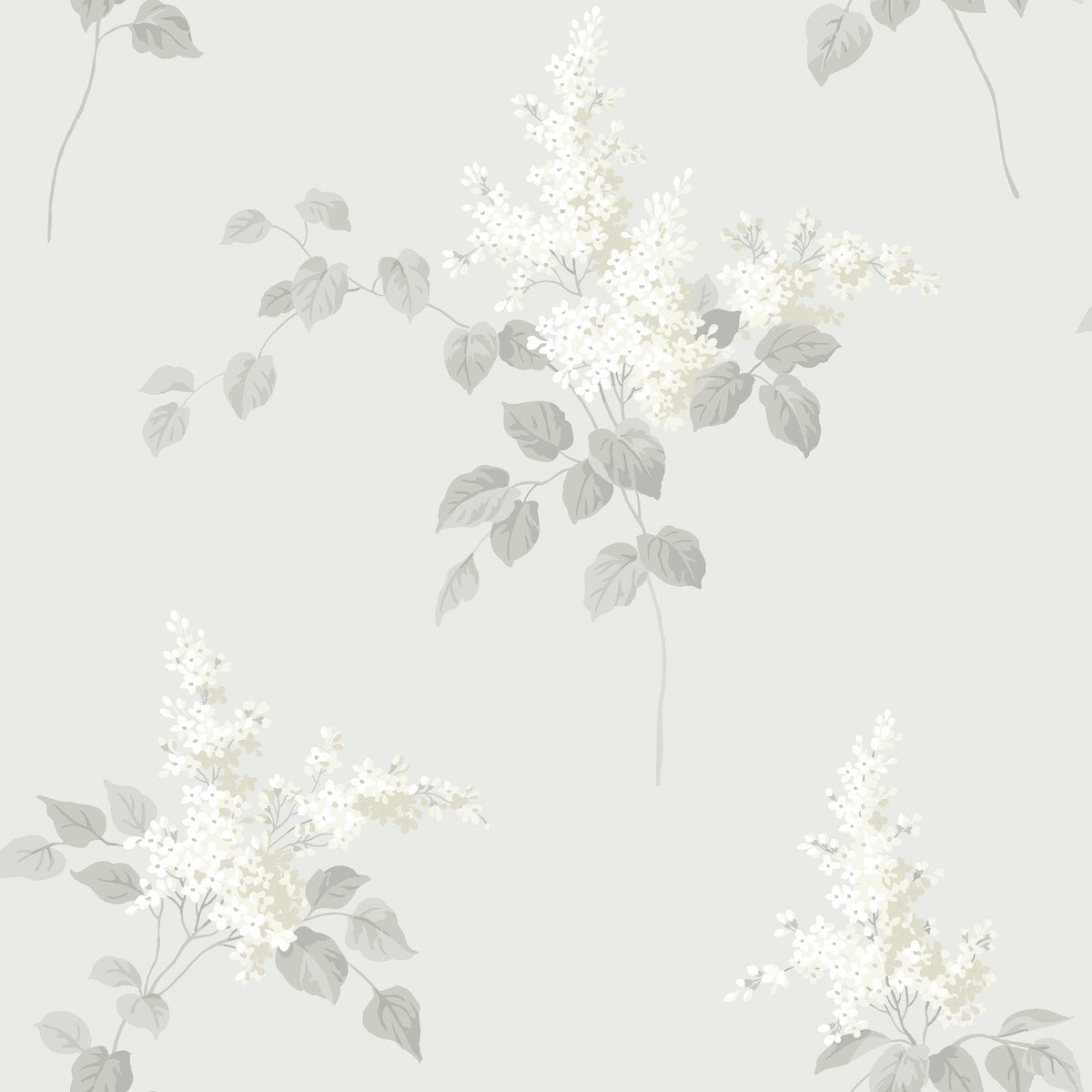 Lilacs - Closeup