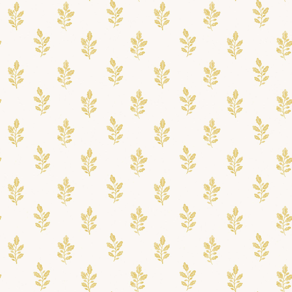 Little Oak - Closeup