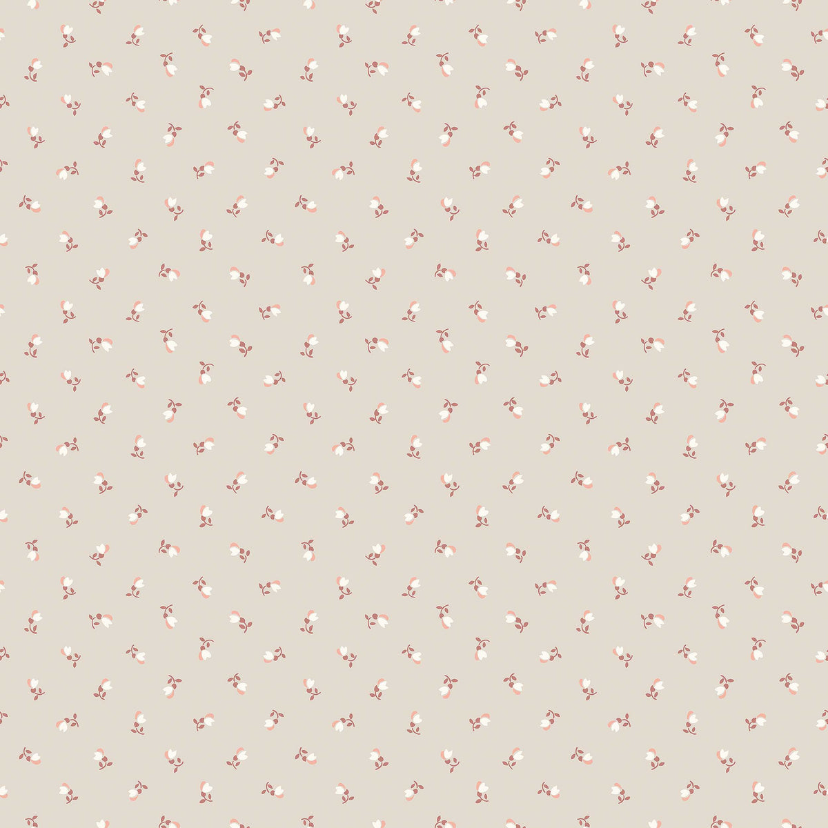 Petite Chérie - Closeup