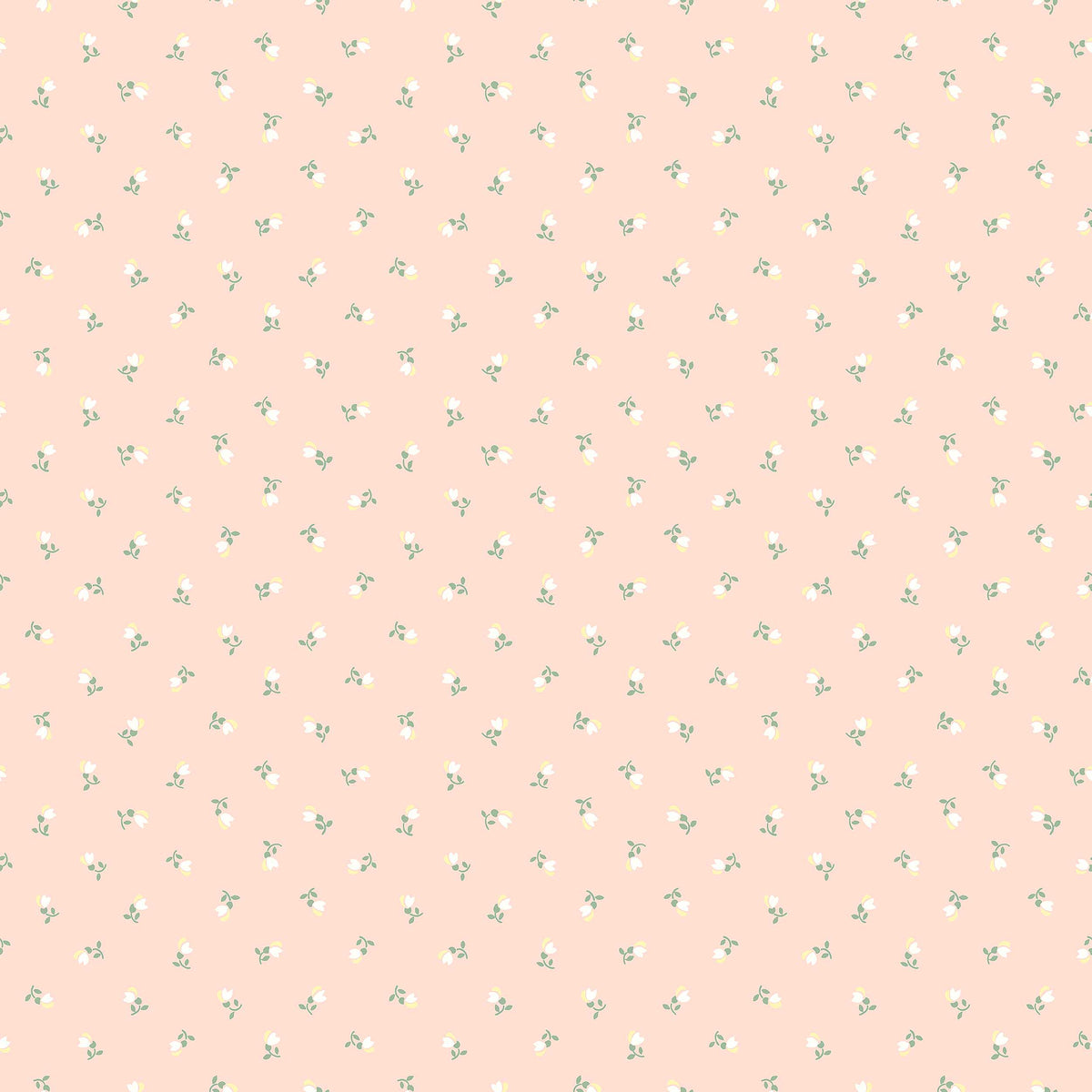 Petite Chérie - Closeup