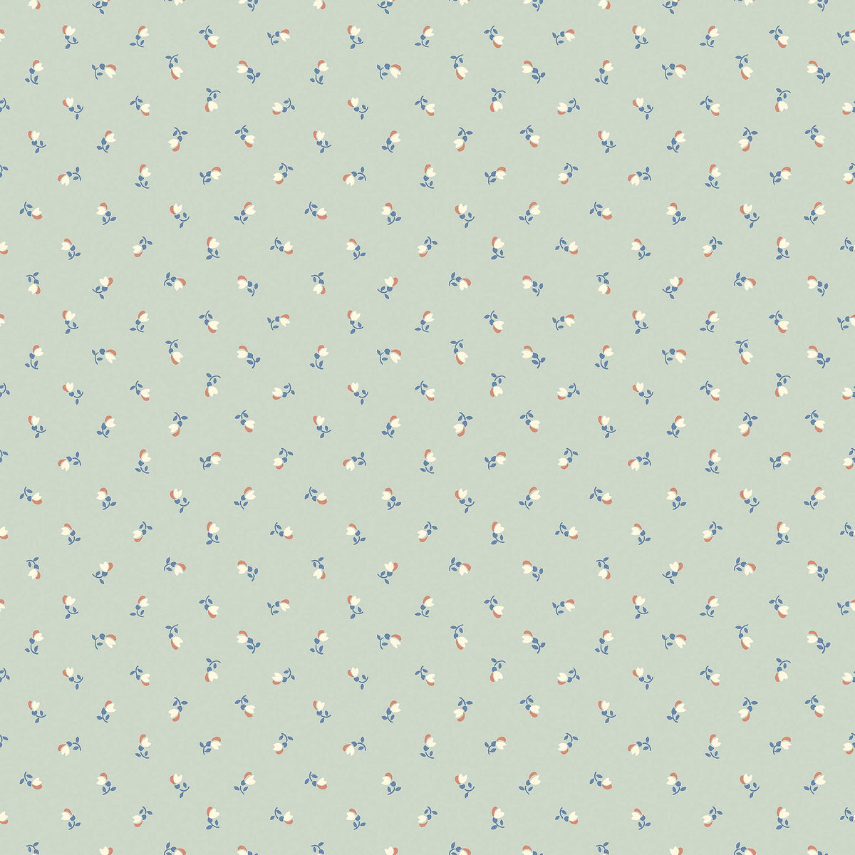 Petite Chérie - Closeup