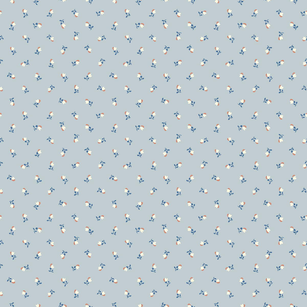 Petite Chérie - Closeup