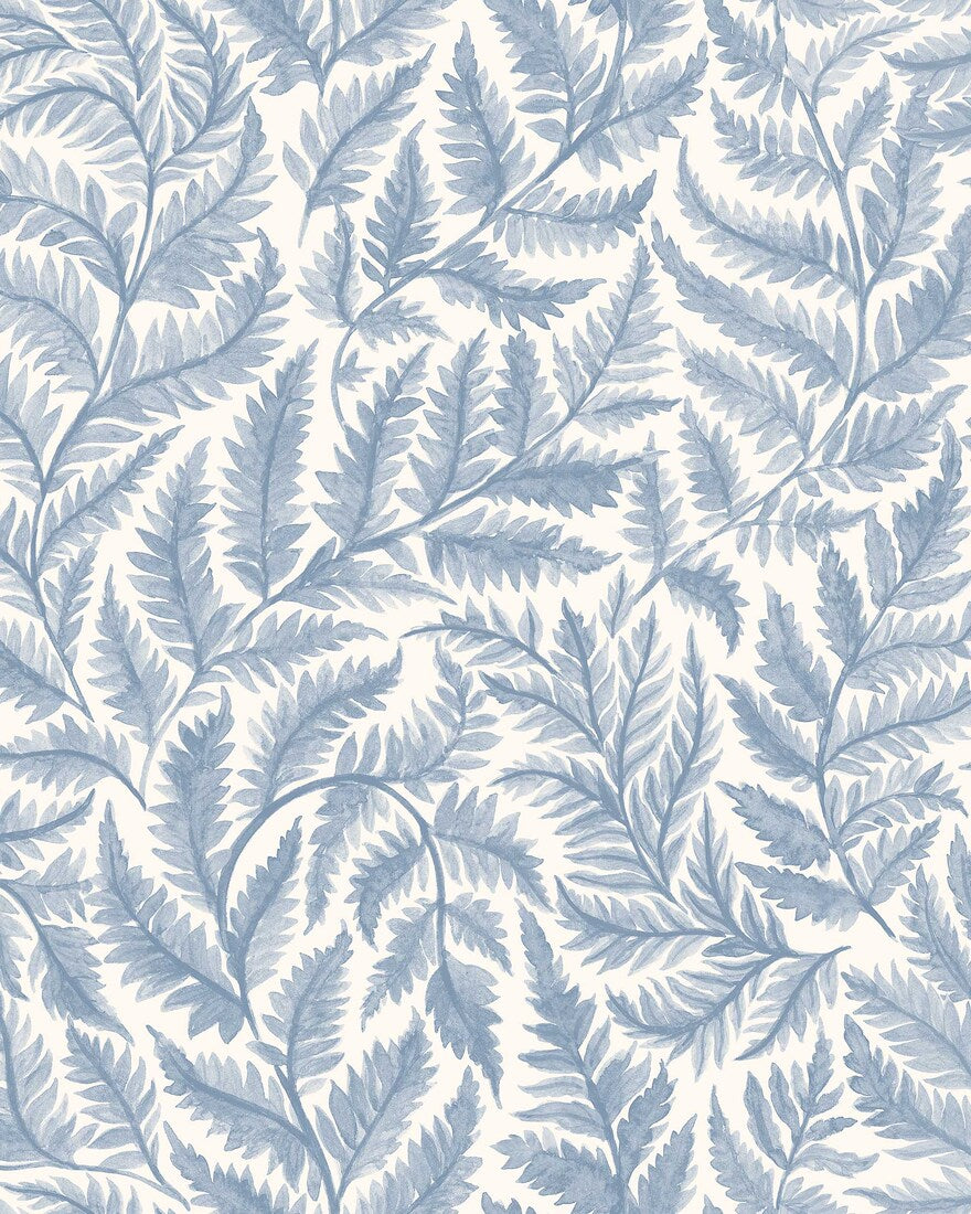 Ferns - CroppedImage