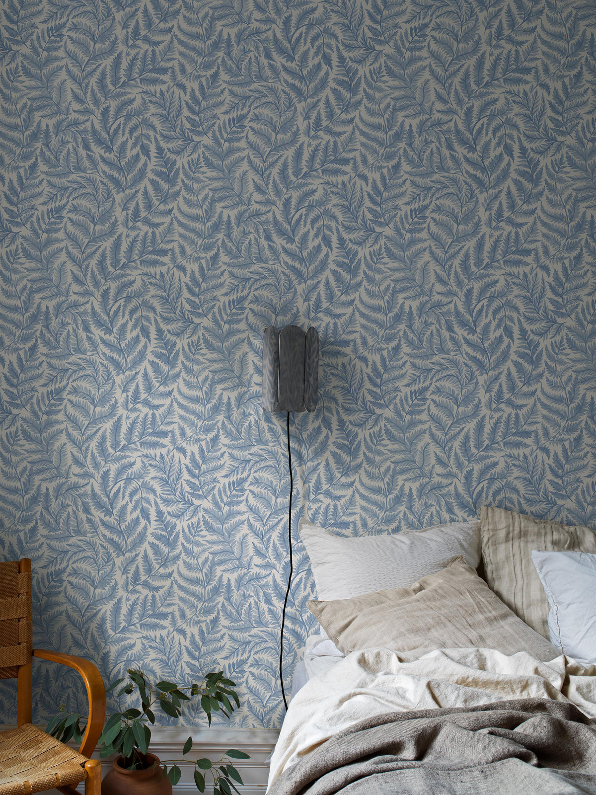 Ferns - Roomshot 1