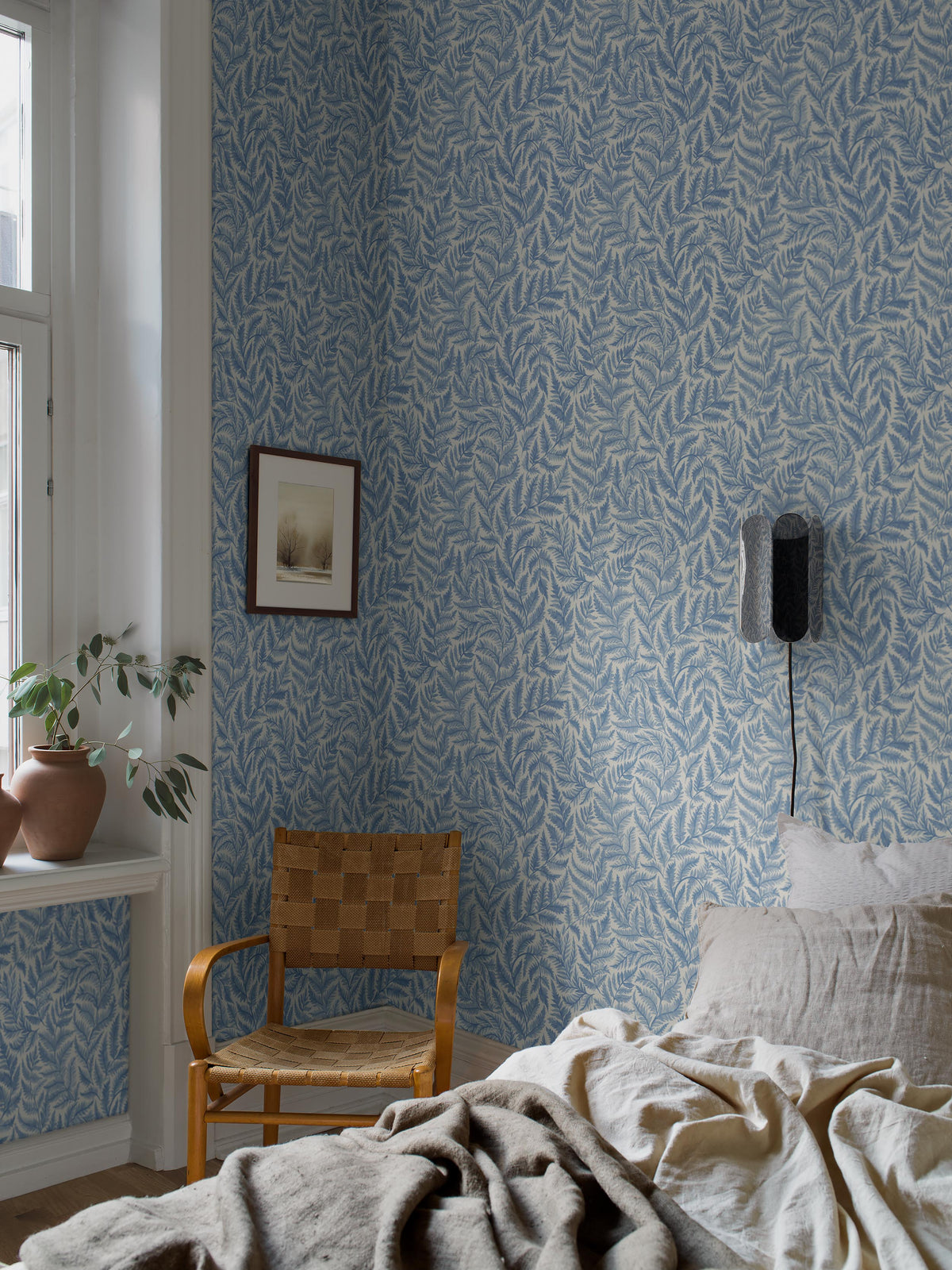 Ferns - Roomshot 2