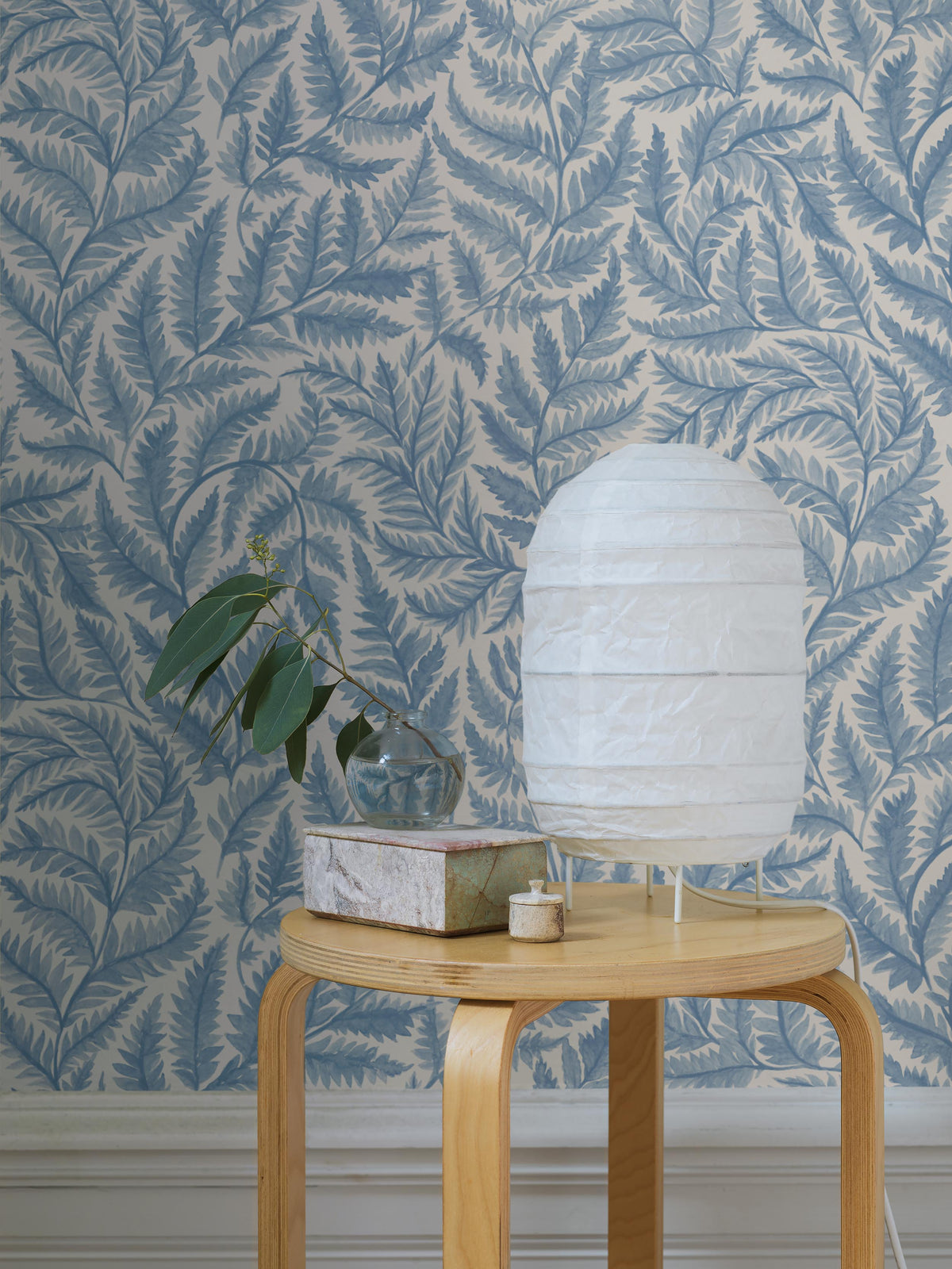 Ferns - Roomshot 3