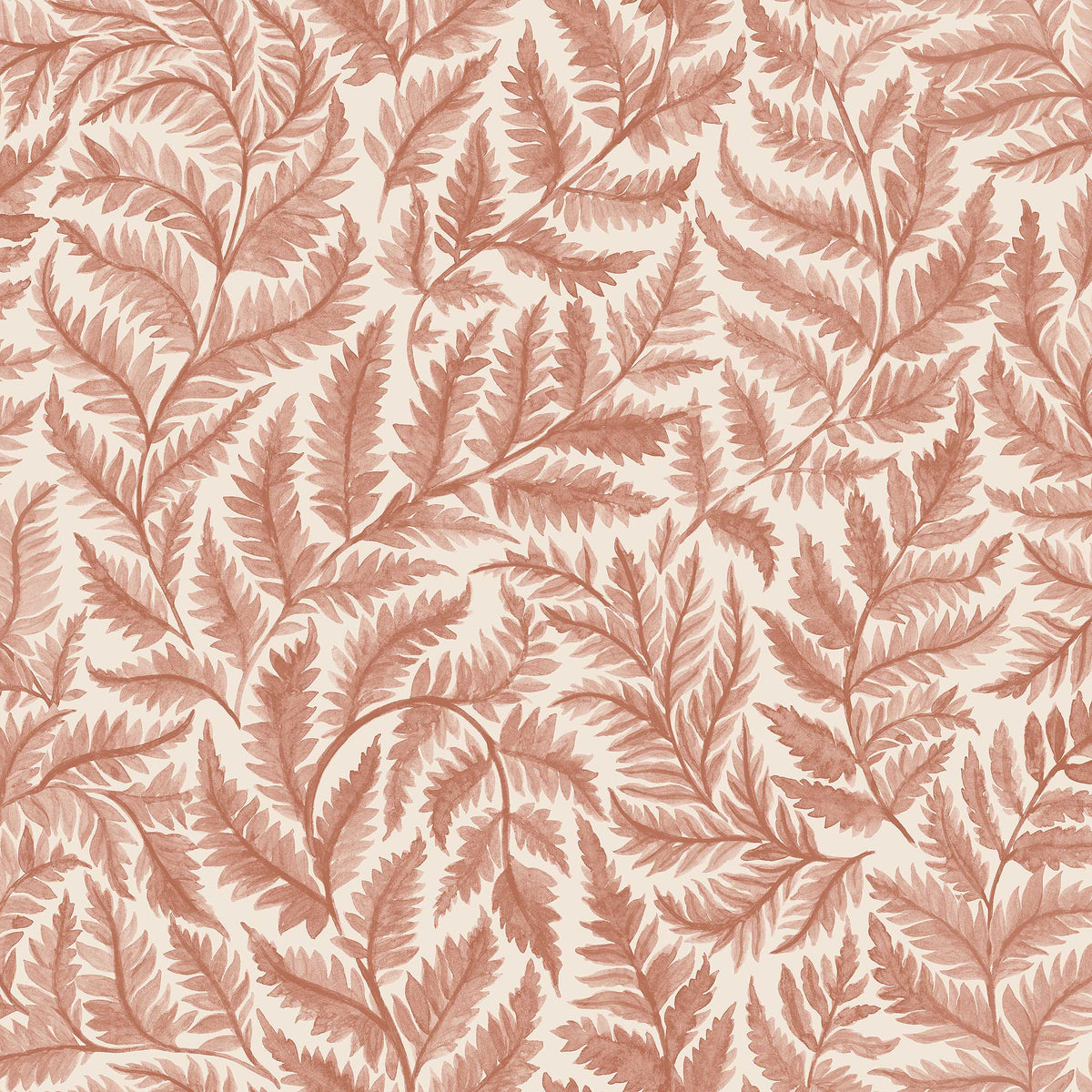 Ferns - Closeup