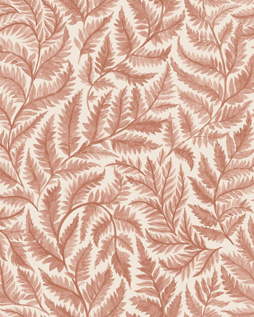 Ferns - CroppedImage