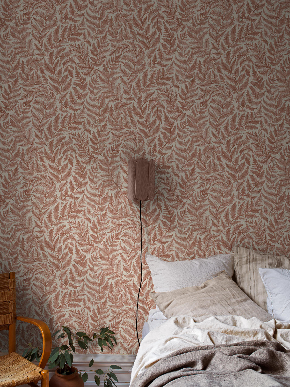 Ferns - Roomshot 1