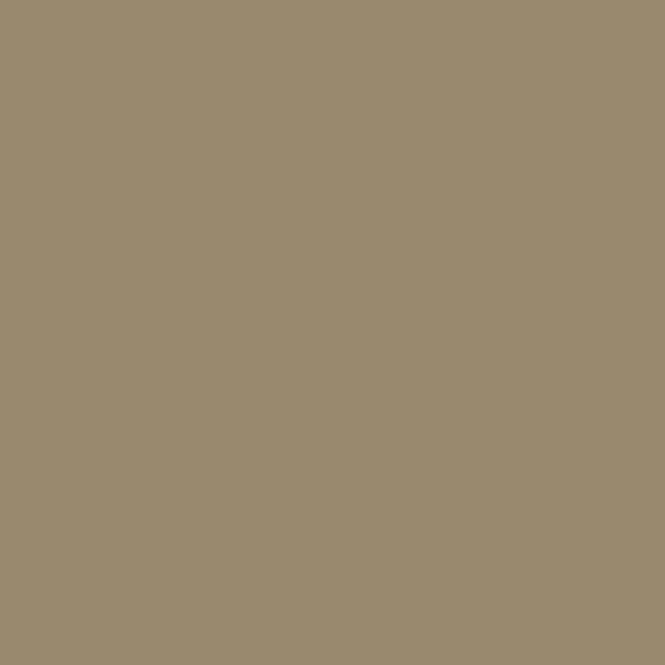 Drab paint swatch