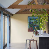 Farrow & Ball Hay lifestyle photo