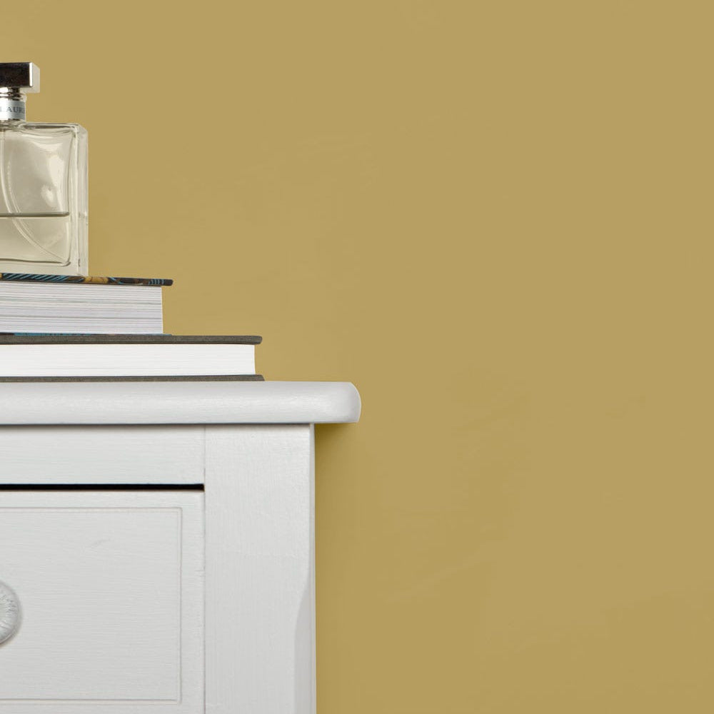 Farrow & Ball Cat's Paw lifestyle photo