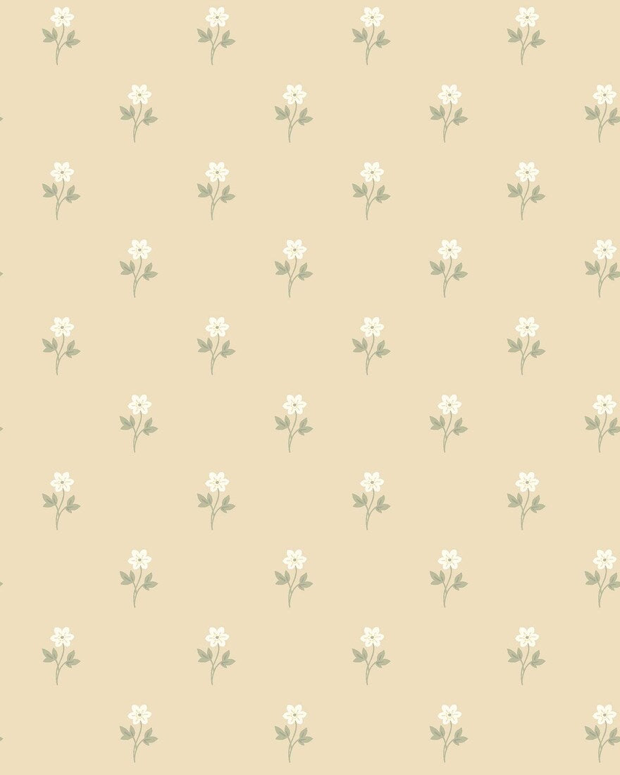 Anemone - CroppedImage