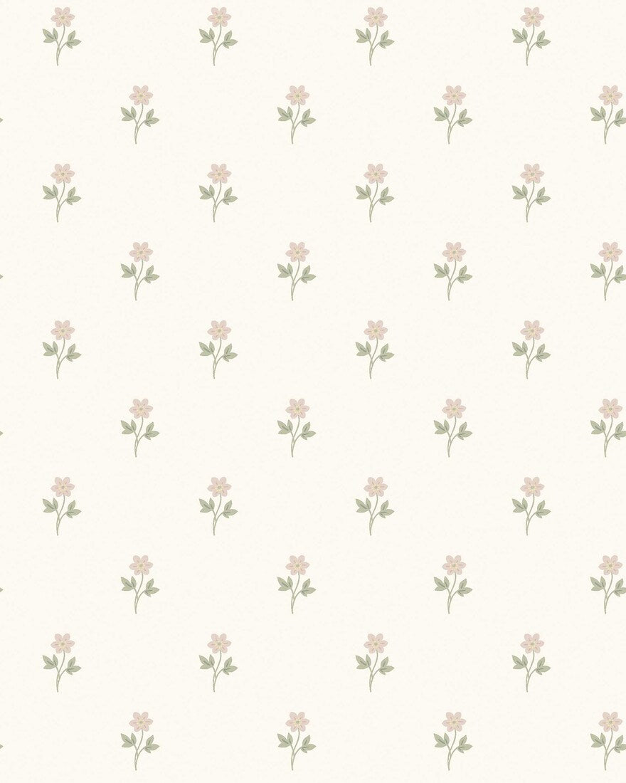 Anemone - CroppedImage