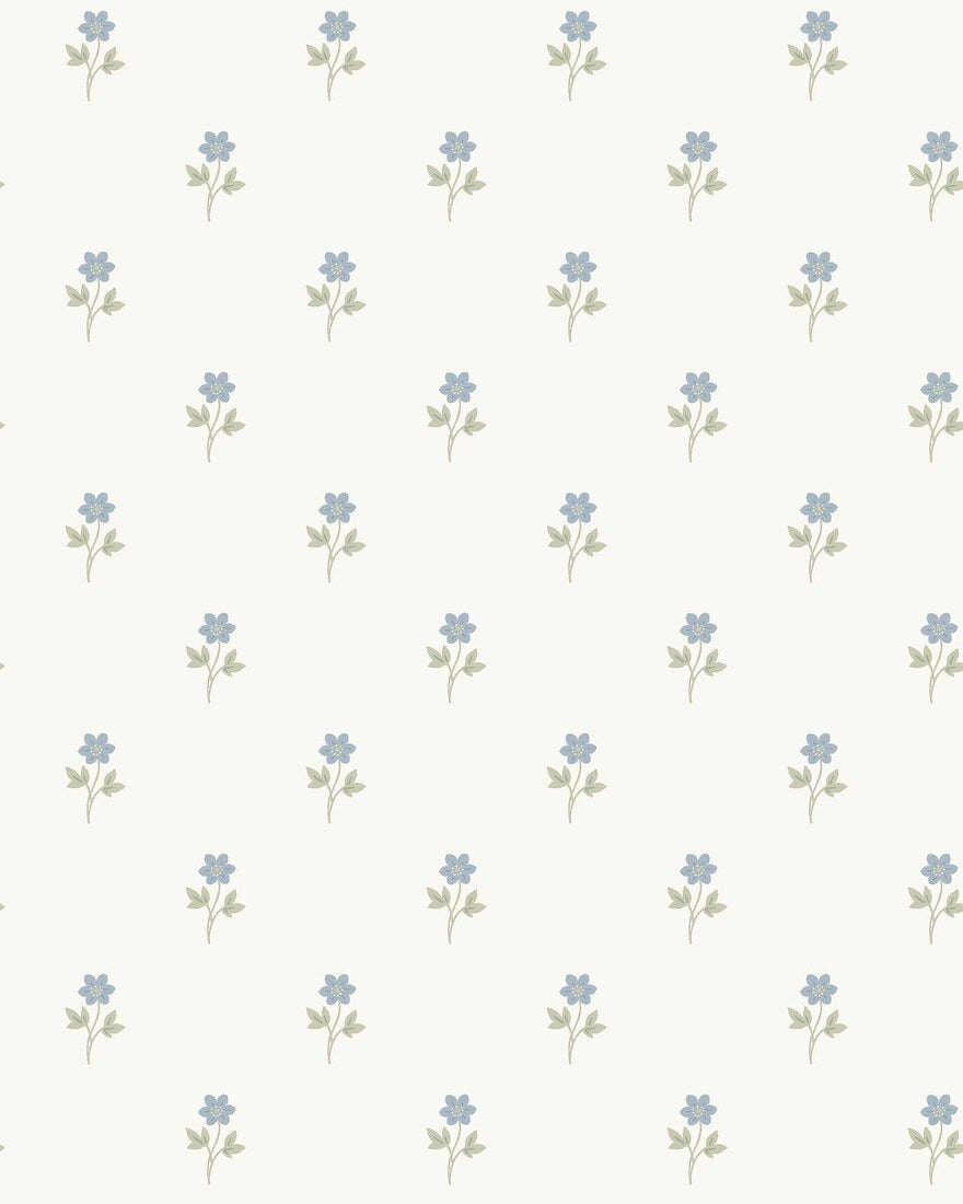 Anemone - CroppedImage