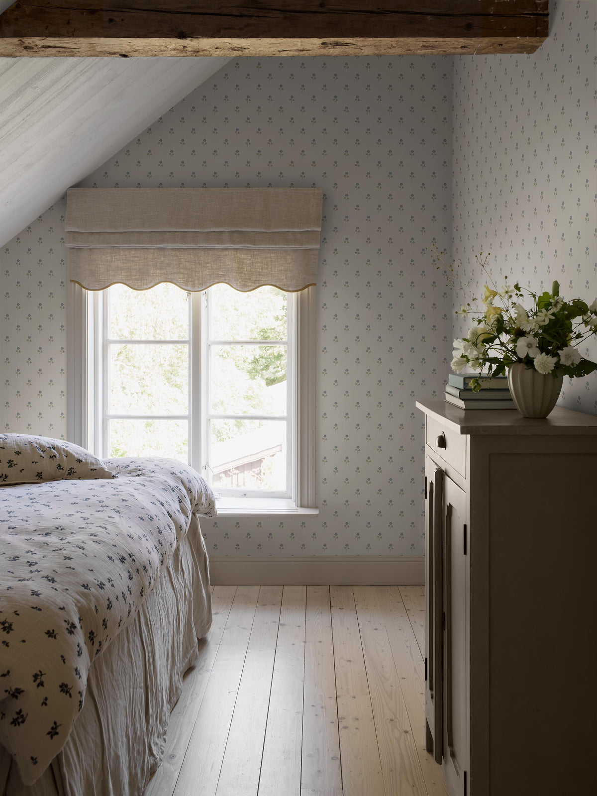 Anemone - Roomshot 1