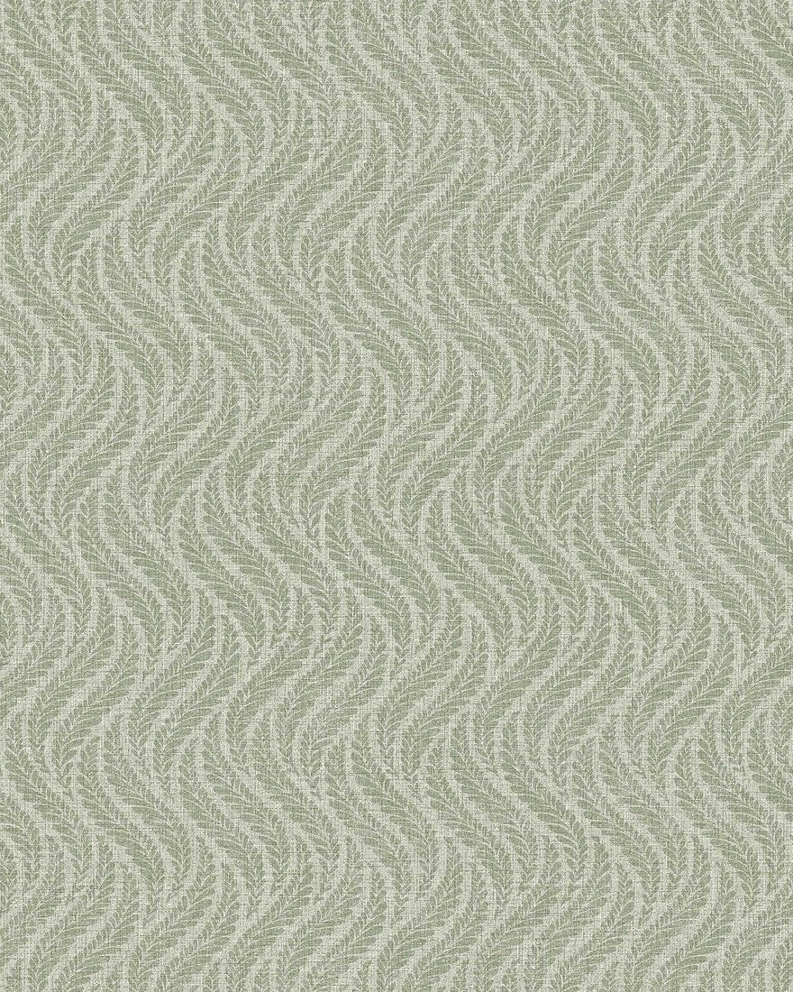 Little Fern - CroppedImage