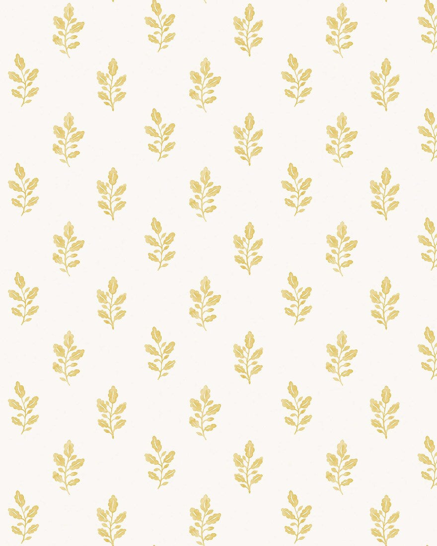 Little Oak - CroppedImage