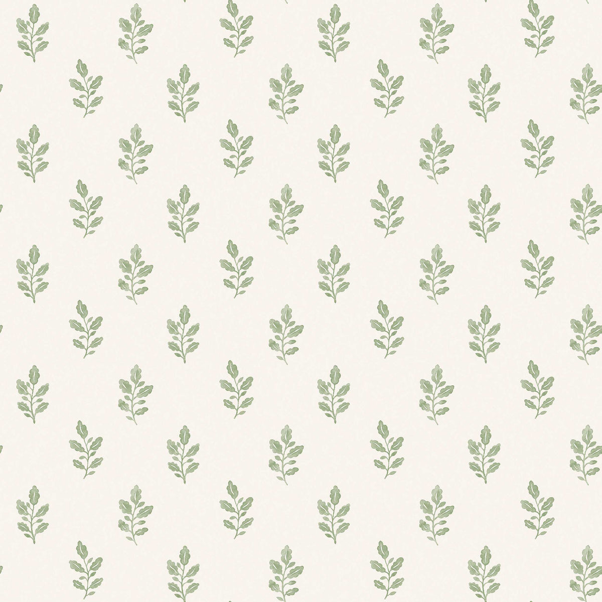 Little Oak - Closeup