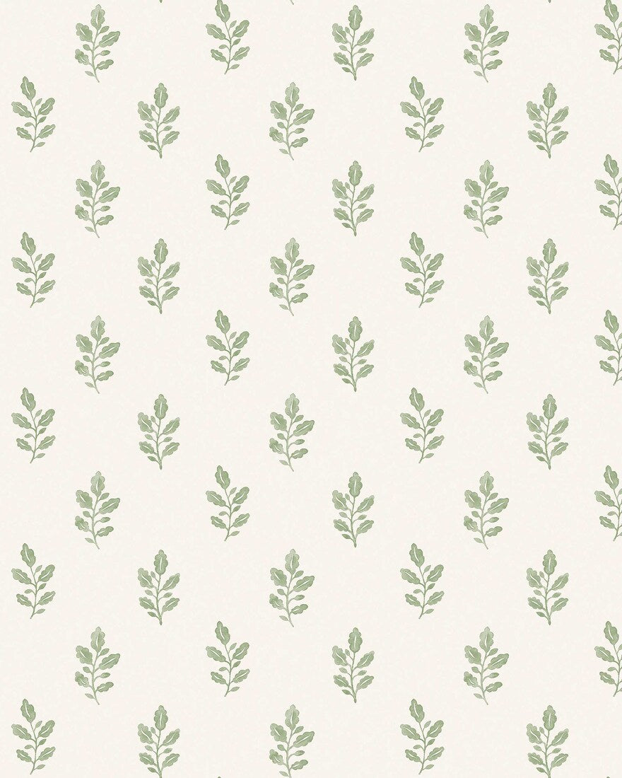 Little Oak - CroppedImage