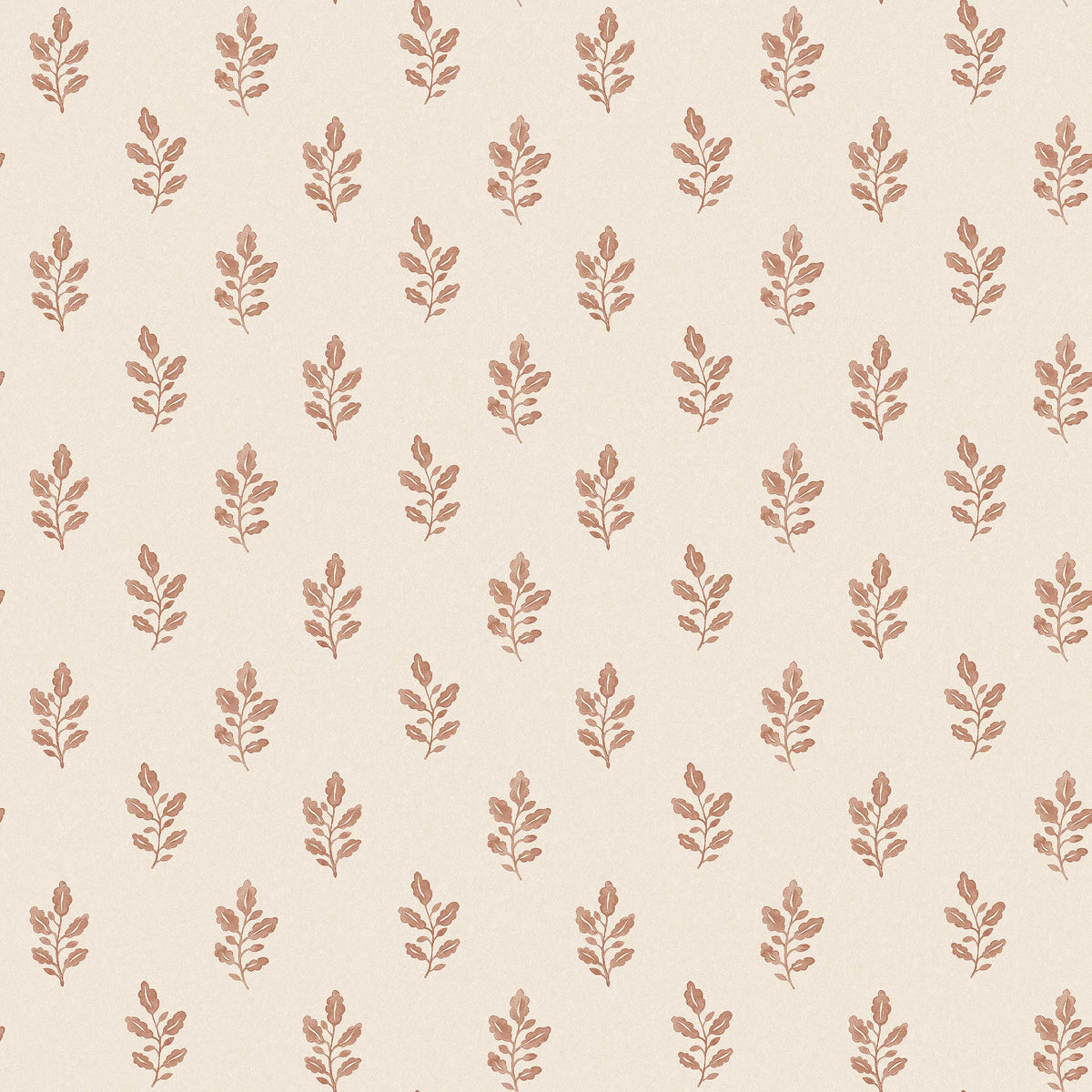 Little Oak - Closeup