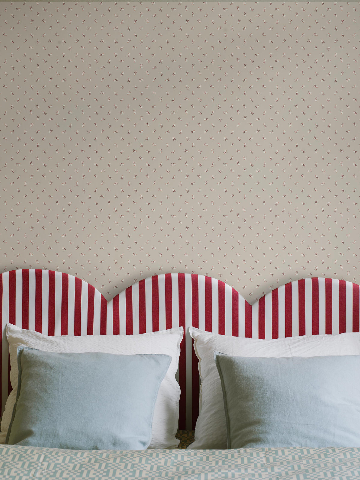 Petite Chérie - Roomshot 2