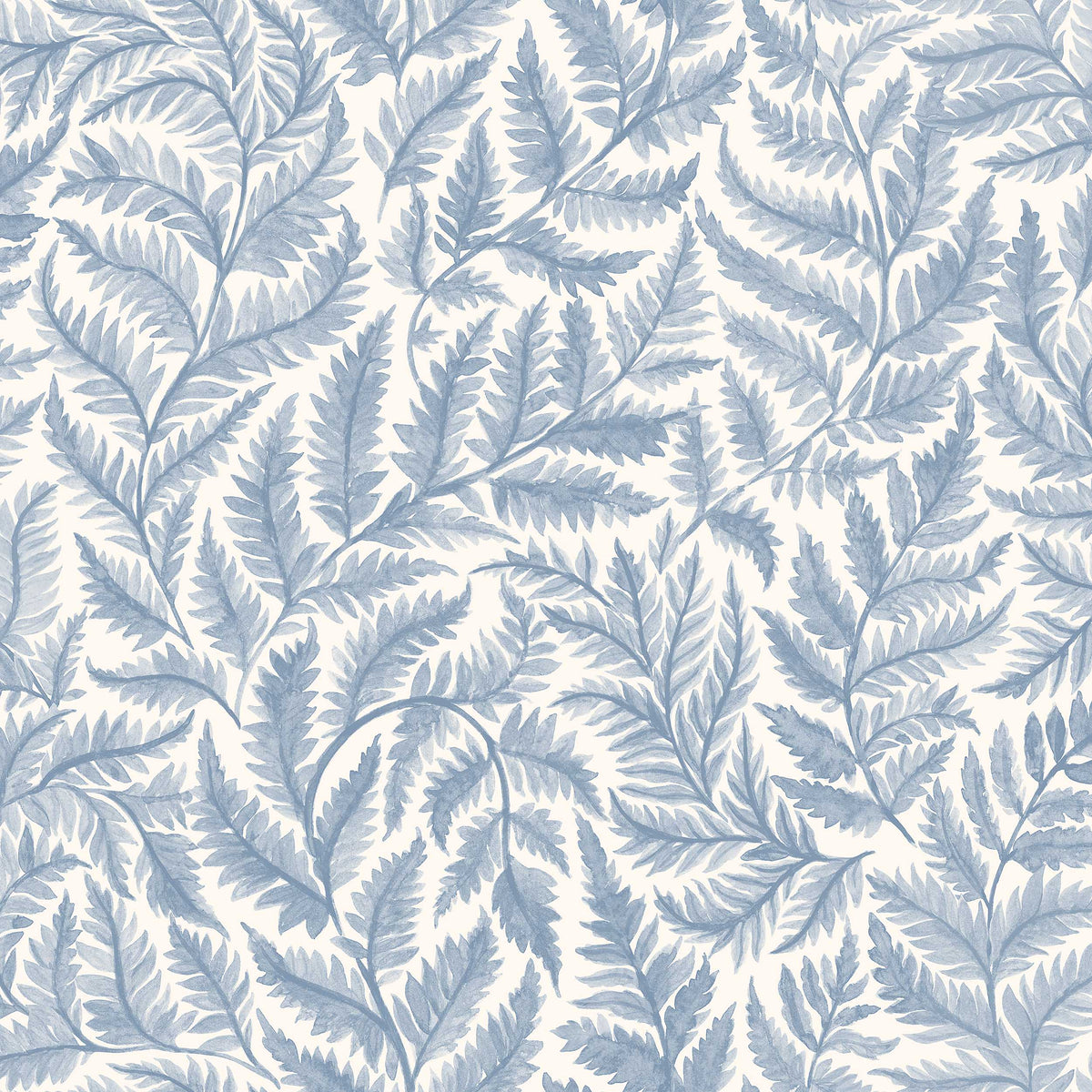 Ferns - Closeup