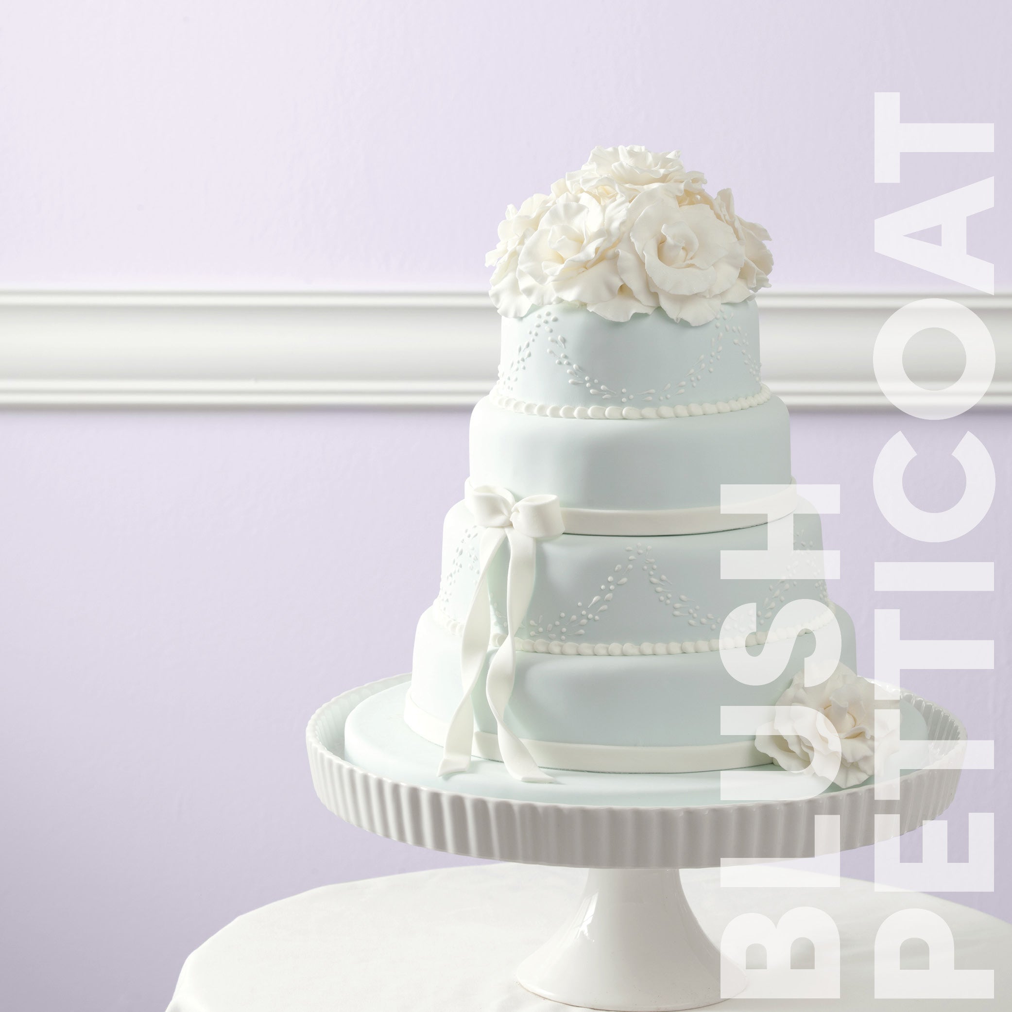 Curator Blush Petticoat lifestyle photo