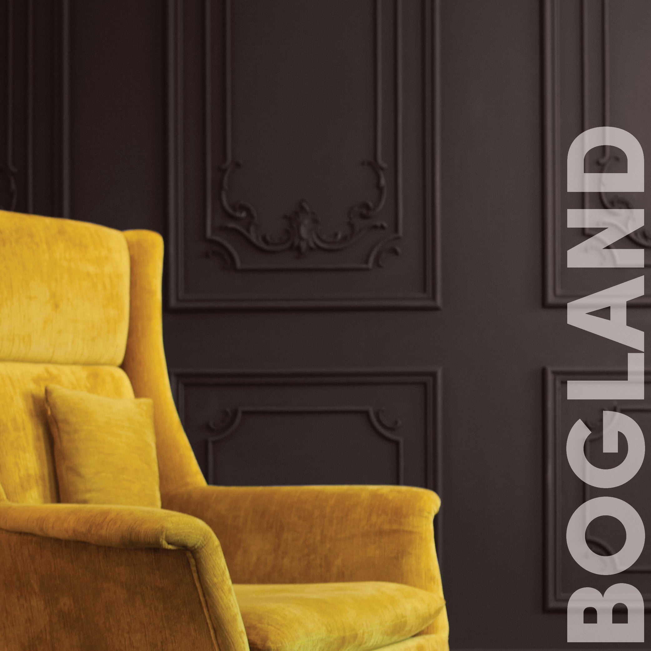 Curator Bogland lifestyle photo