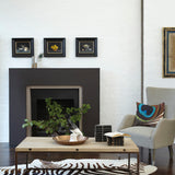 Little Greene Chocolate Colour™