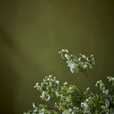 Little Greene Citrine™