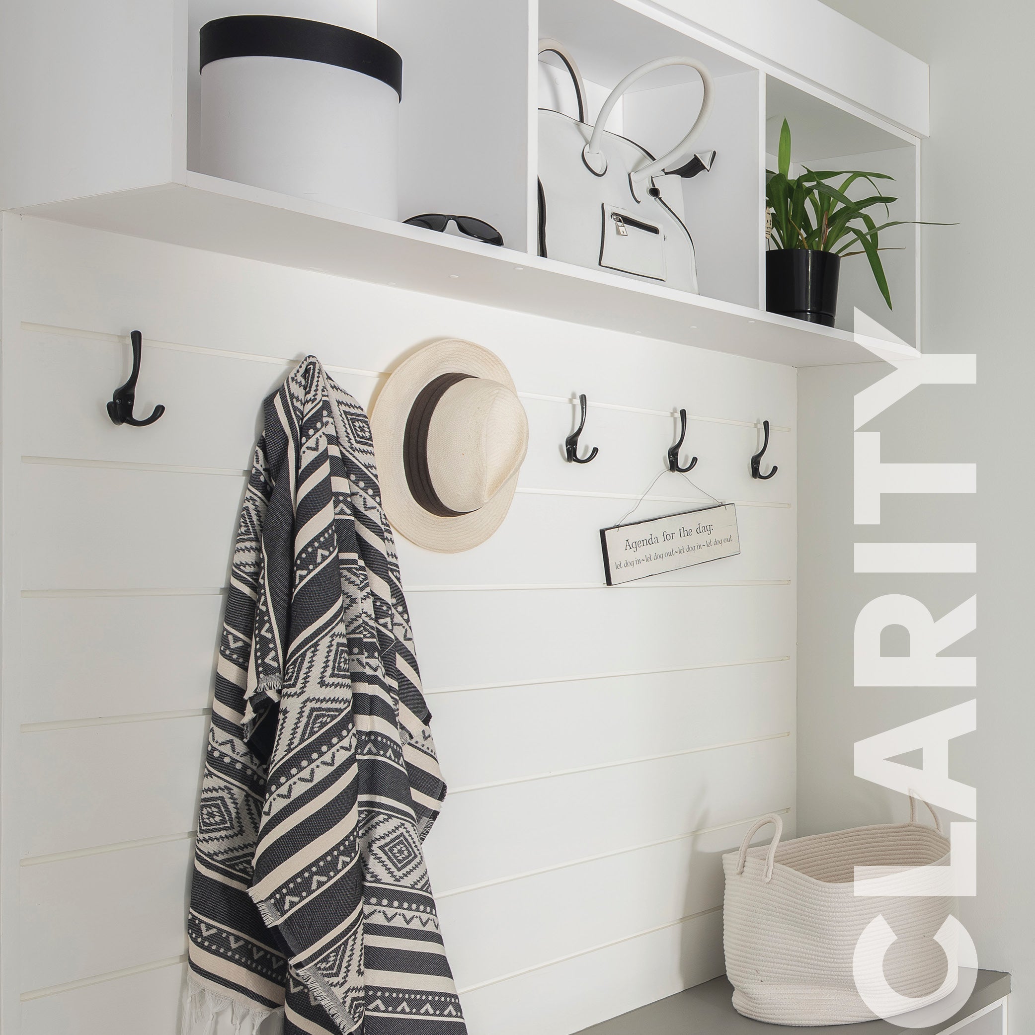 Curator Clarity lifestyle photo