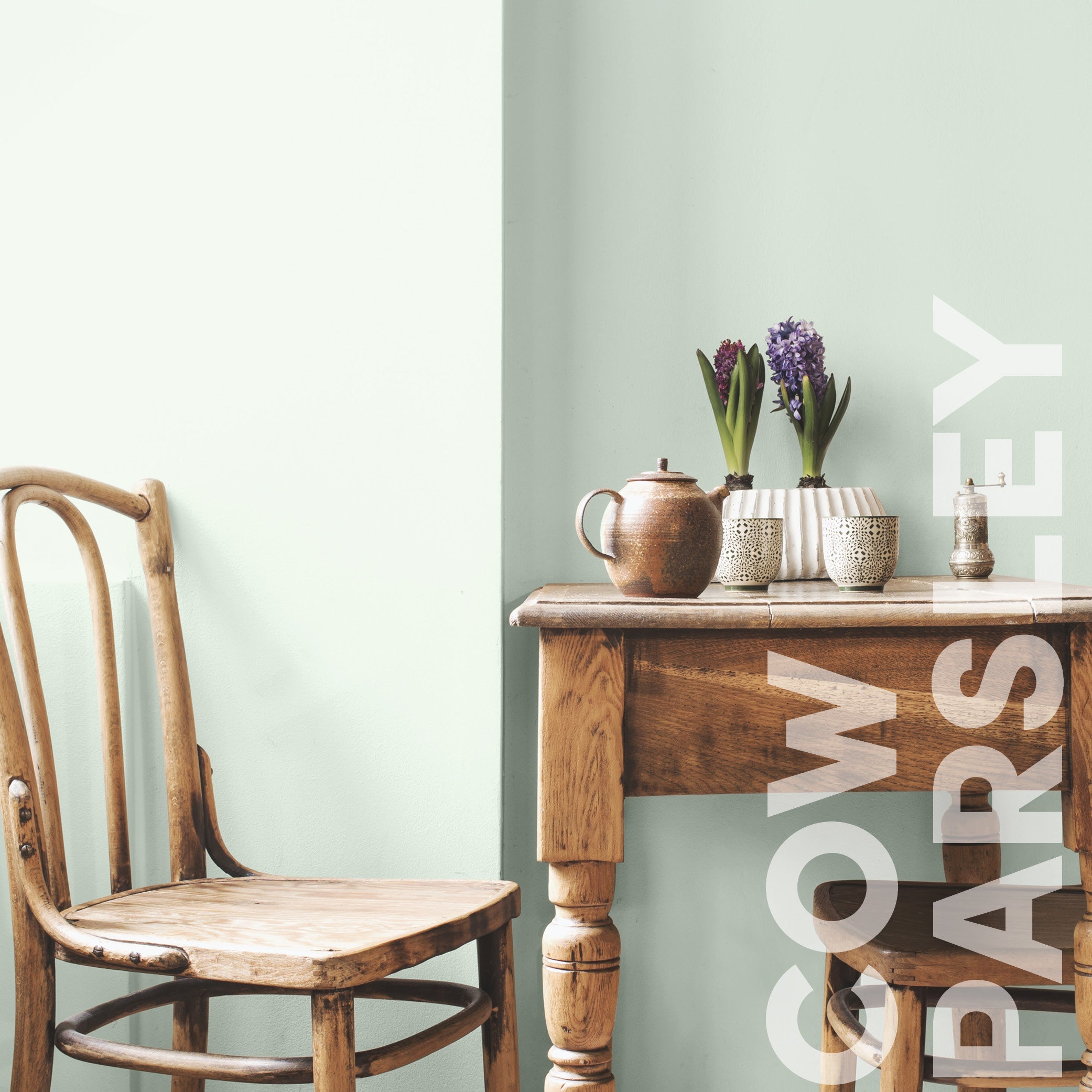 Curator Cow Parsley lifestyle photo