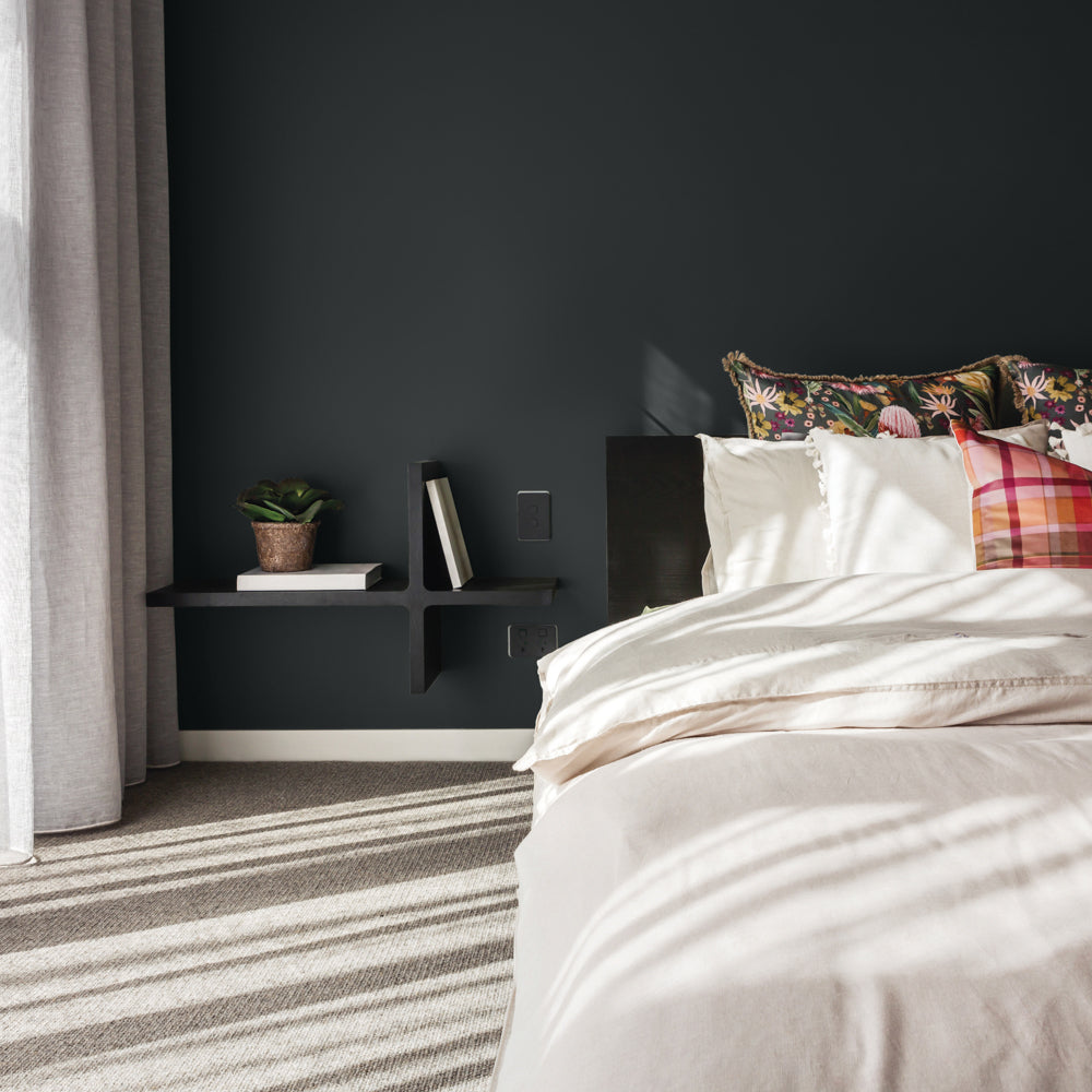 Colourtrend Dressage lifestyle photo