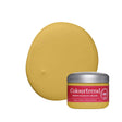 Colourtrend French Mustard 100ml sample pot in Interior Matt finish
