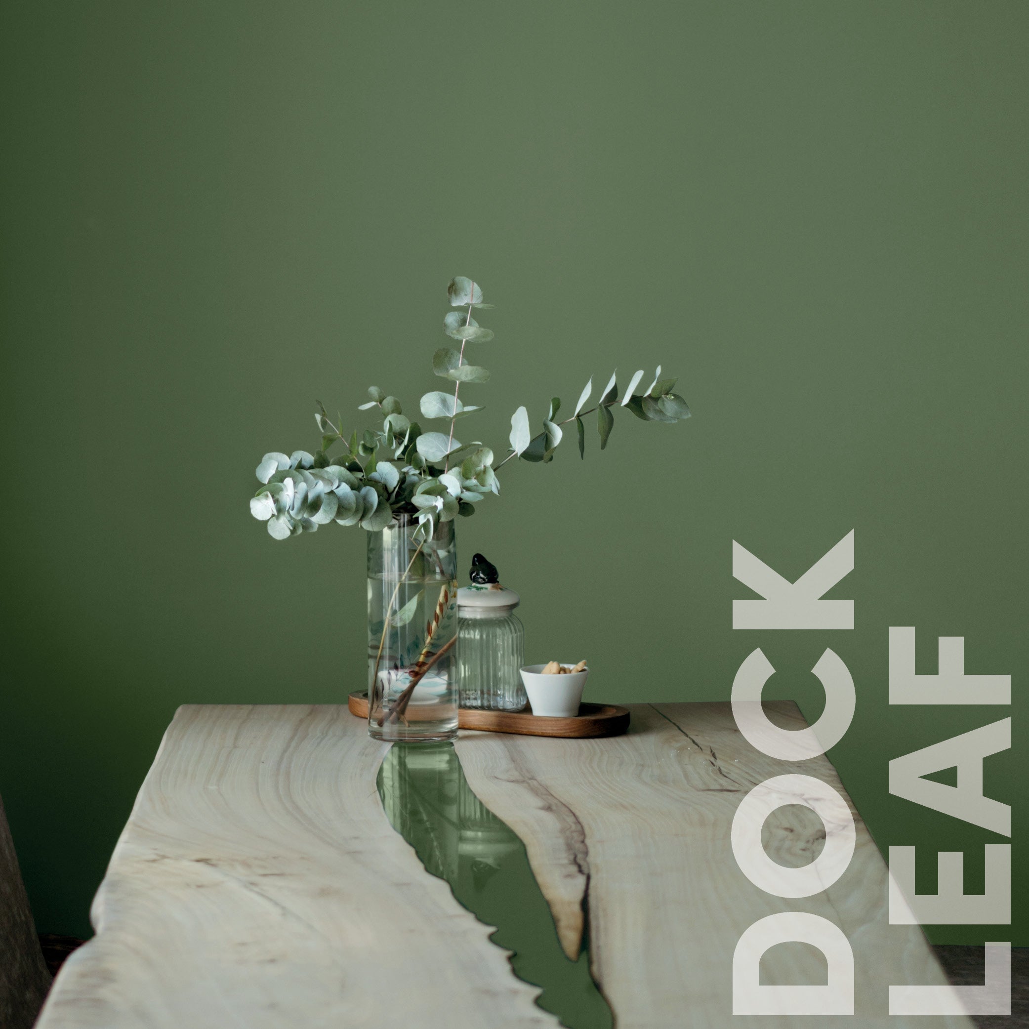 Curator Dock Leaf lifestyle photo