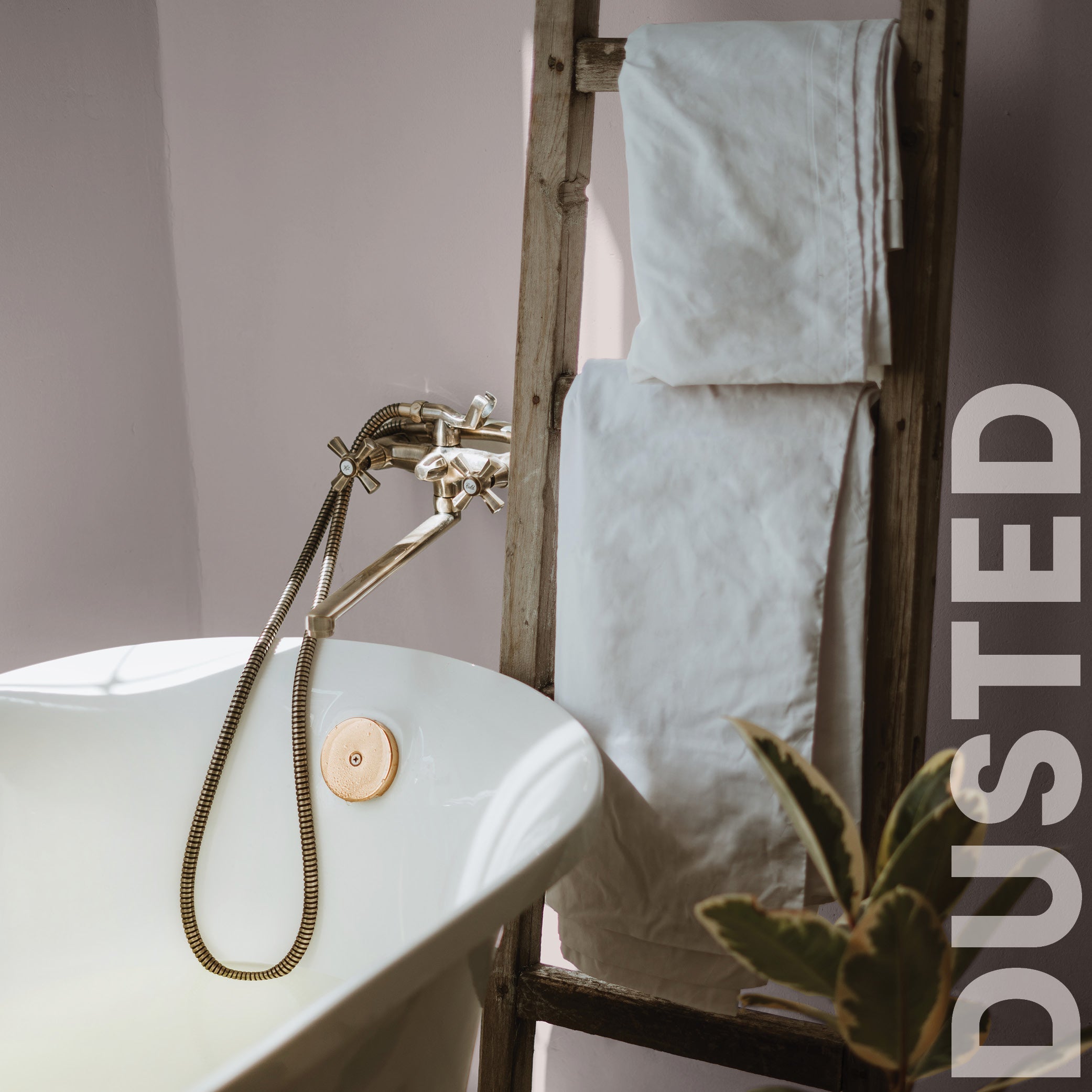 Curator Dusted lifestyle photo