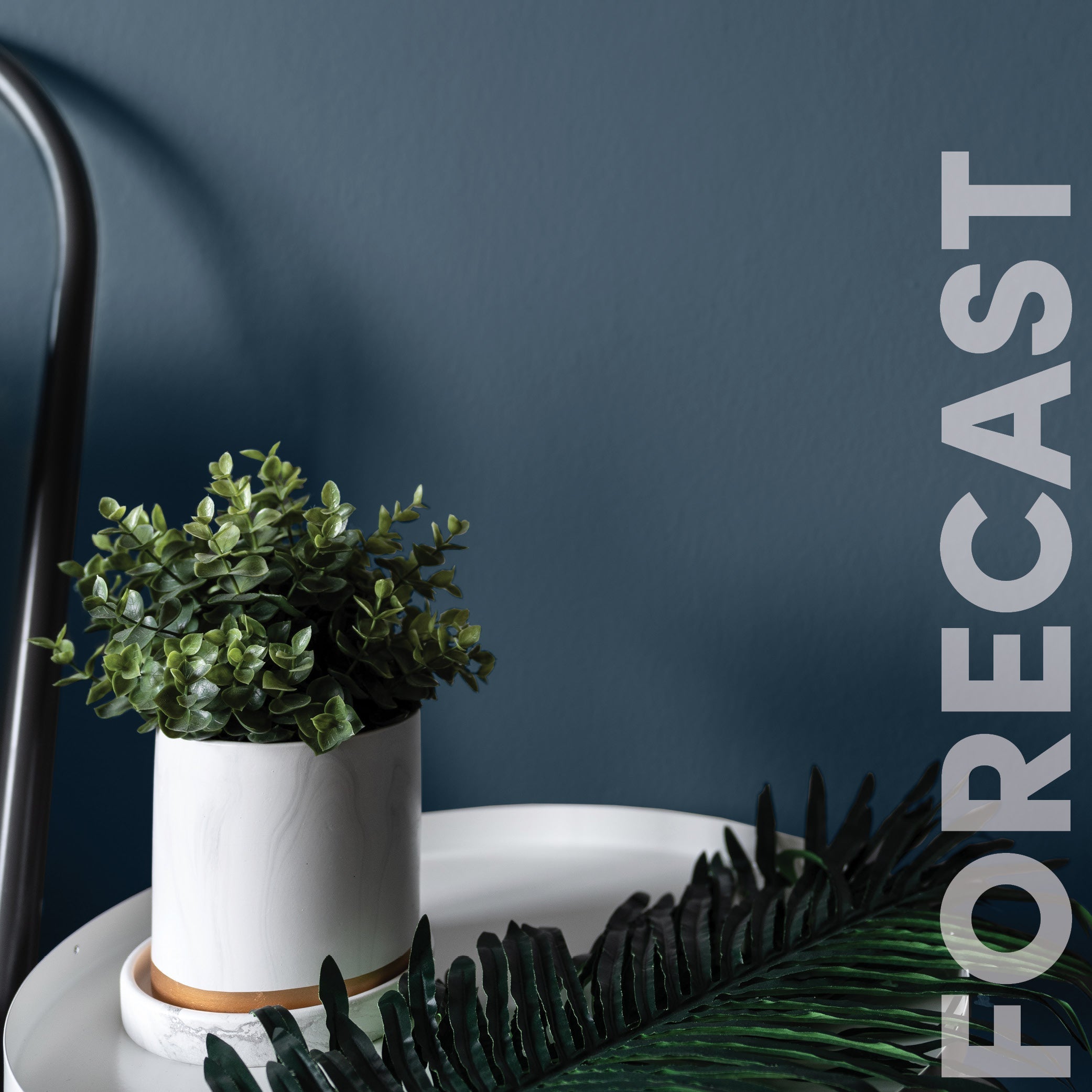 Curator Forecast lifestyle photo