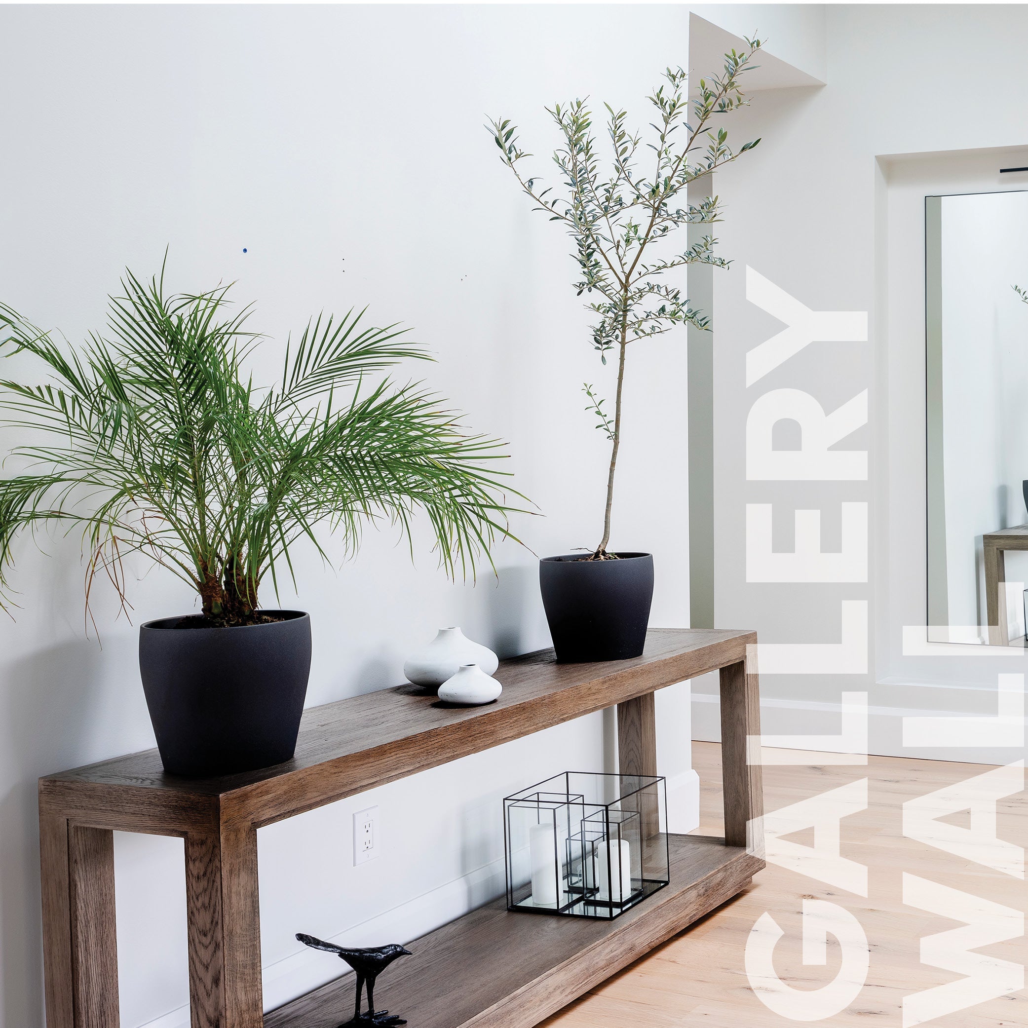 Curator Gallery Wall lifestyle photo