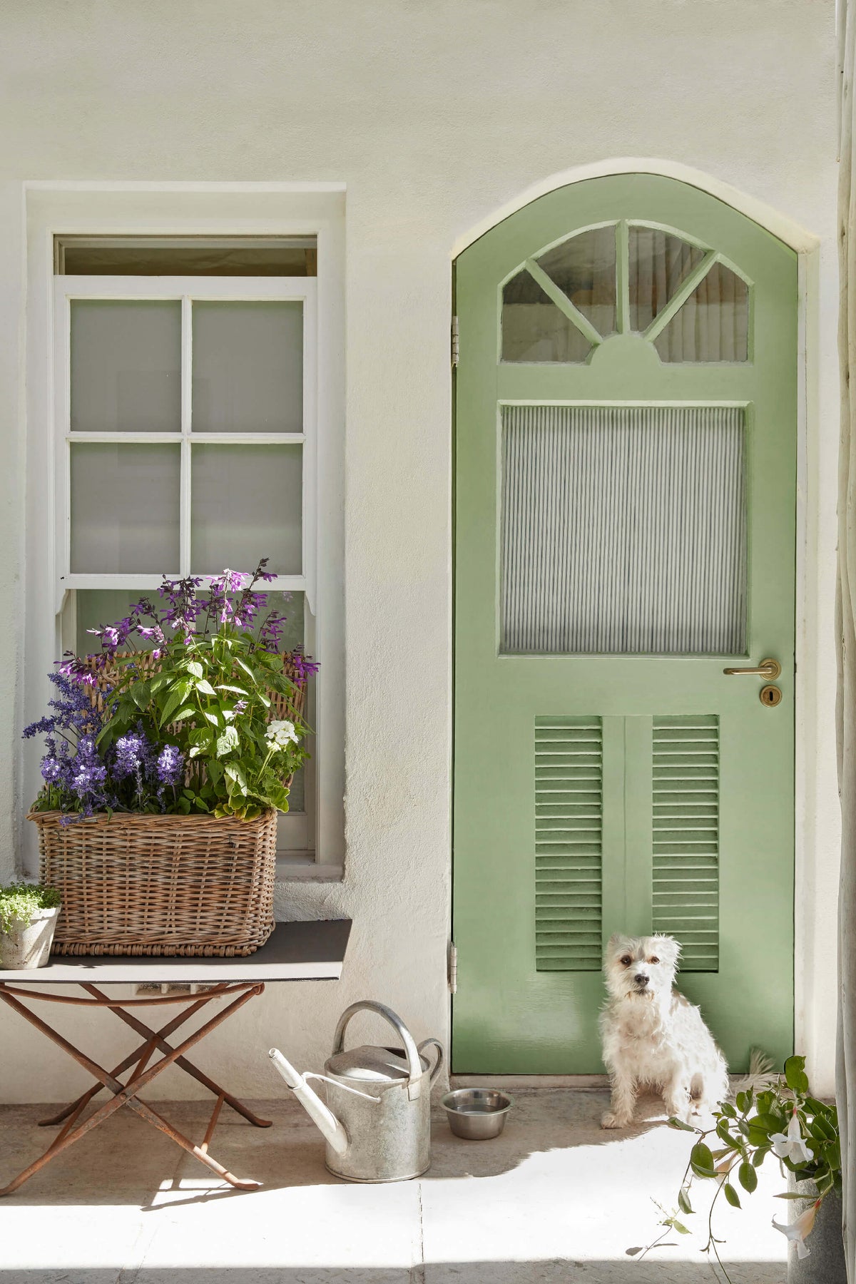 Little Greene Pea Green™