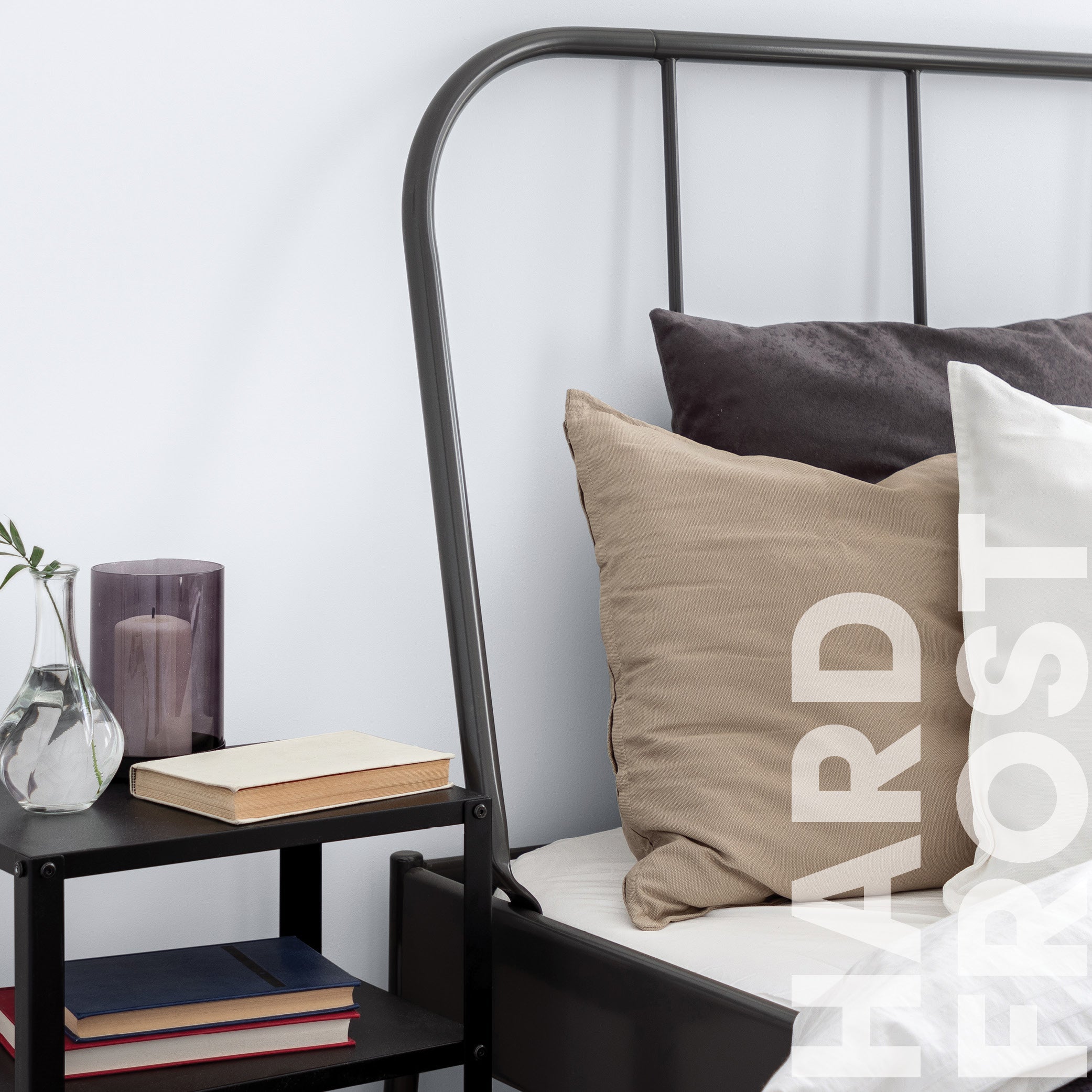 Curator Hard Frost lifestyle photo