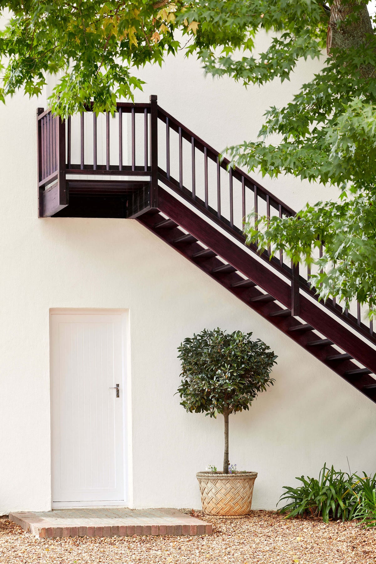 Little Greene Hollyhock™